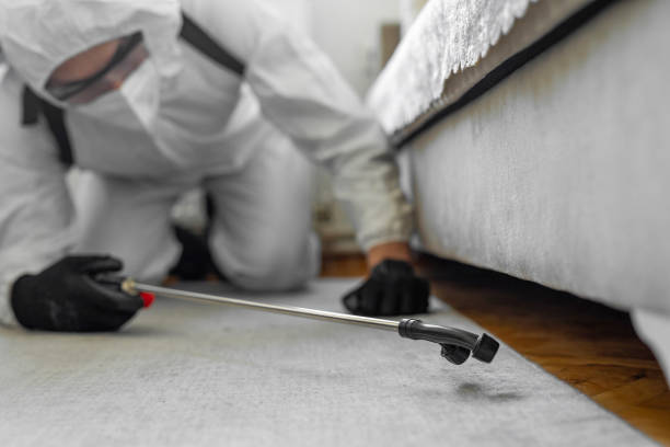 Professional Cockroach Control technician working in Haverhill, MA